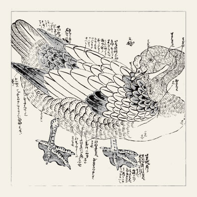 京博オリジナルぬりえ